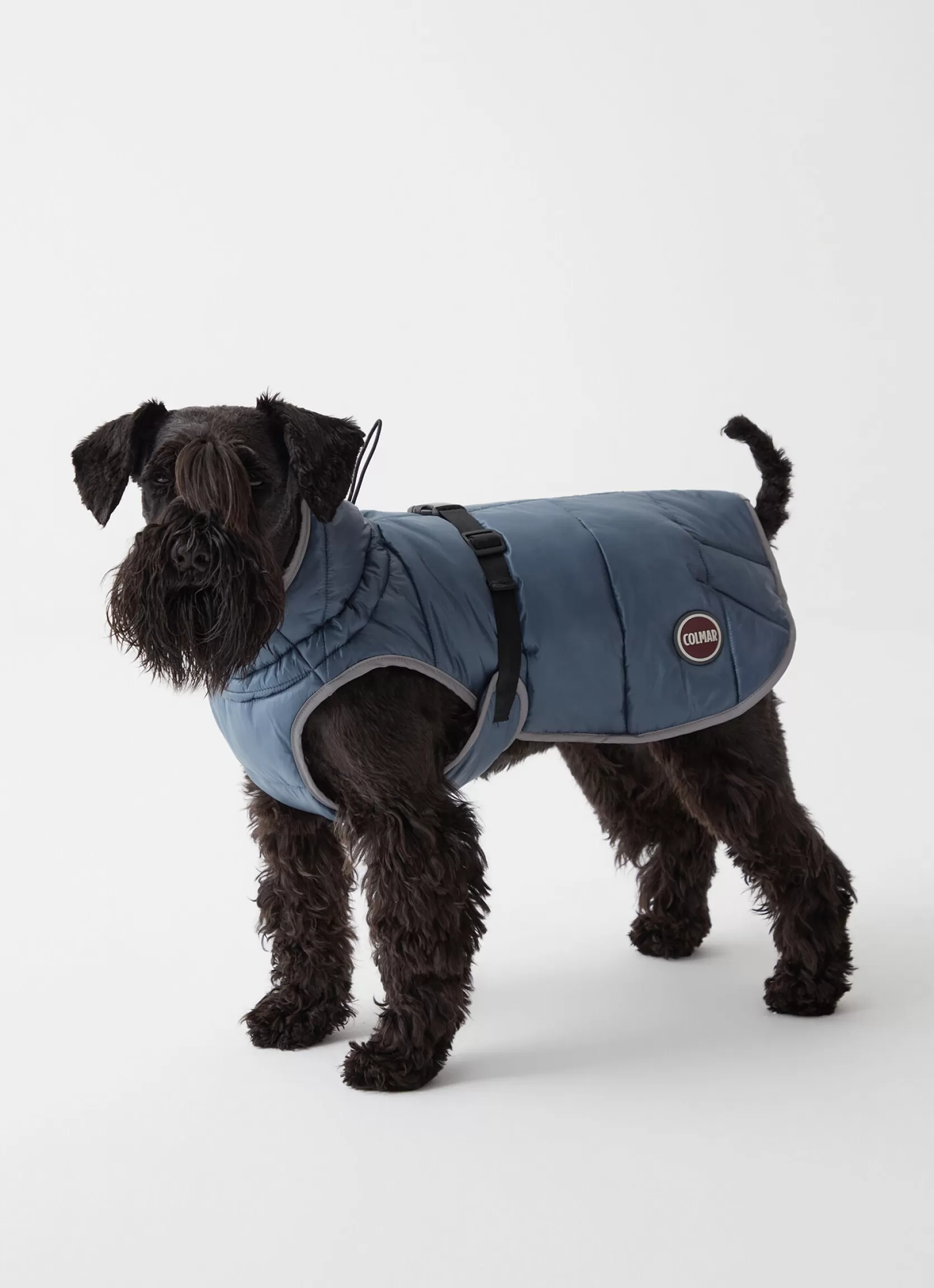 Colmar Padded jacket for dogs | man Accessories for Dogs | Accessories for Dogs