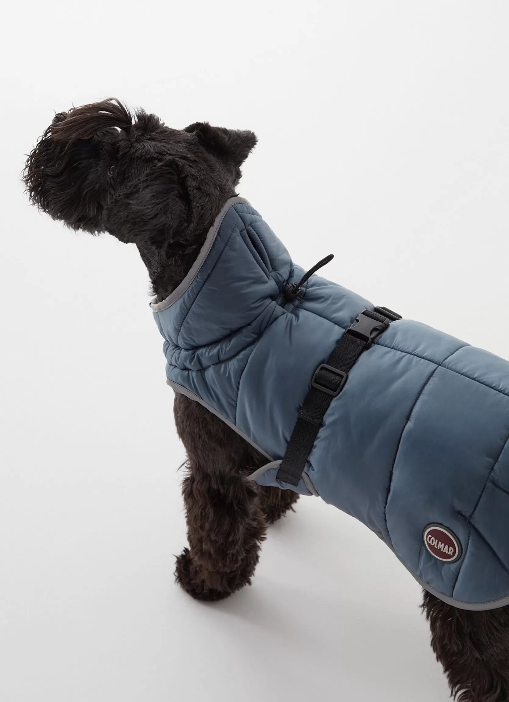 Colmar Padded jacket for dogs | man Accessories for Dogs | Accessories for Dogs