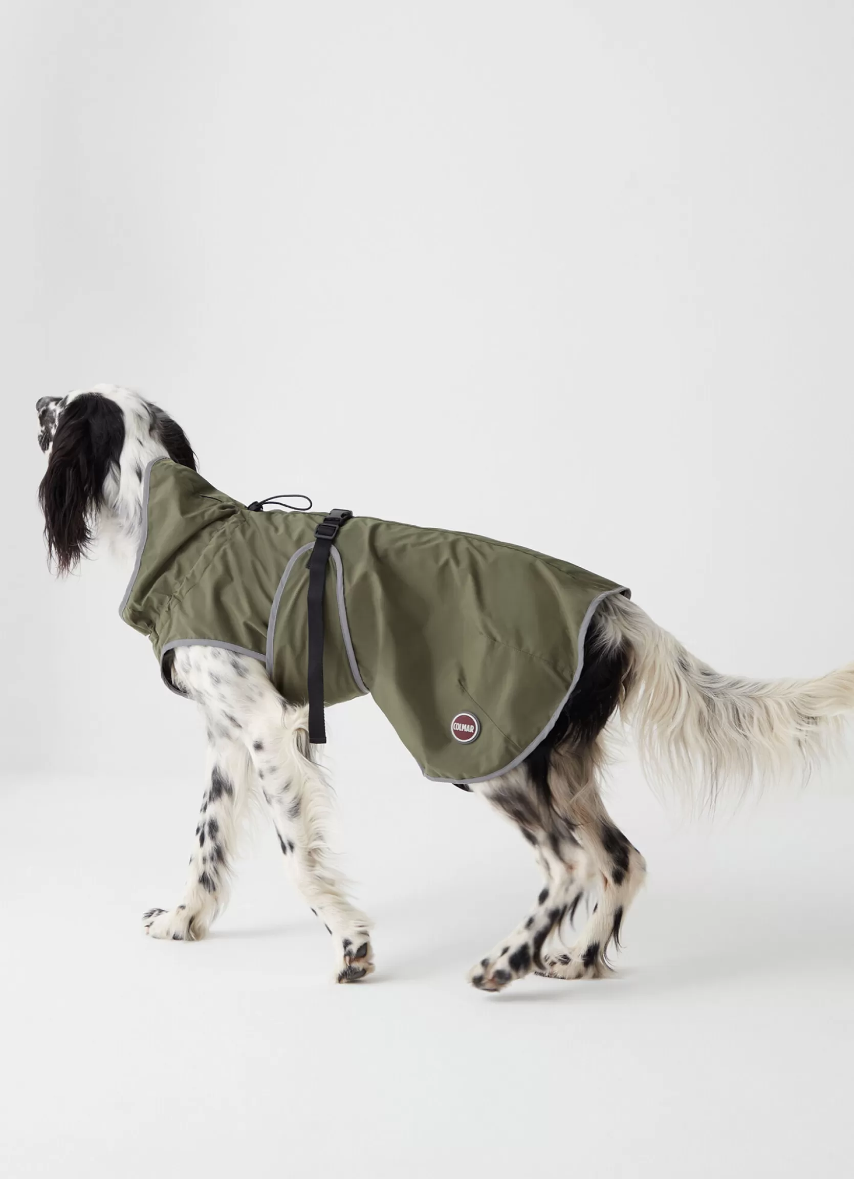 Colmar Rain-proof jacket for dogs | man Accessories for Dogs | Accessories for Dogs